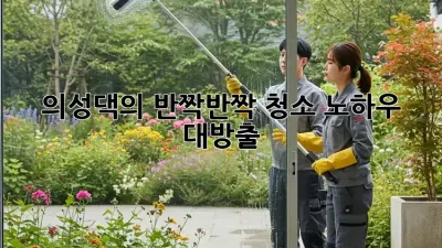 🧹 의성댁의 ✨반짝반짝✨ 청소 노하우 대방출!