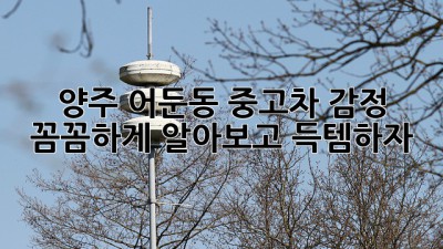양주 어둔동 중고차 감정, 꼼꼼하게 알아보고 득템하자! 🚗✨